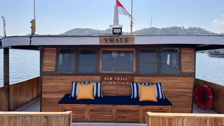 Vhale Liveboard, open trip labuan bajo, labuan bajo, open trip labuan bajo, komodo national park, komodo island, komodo dragon, pink beach, padar island, Kelor island