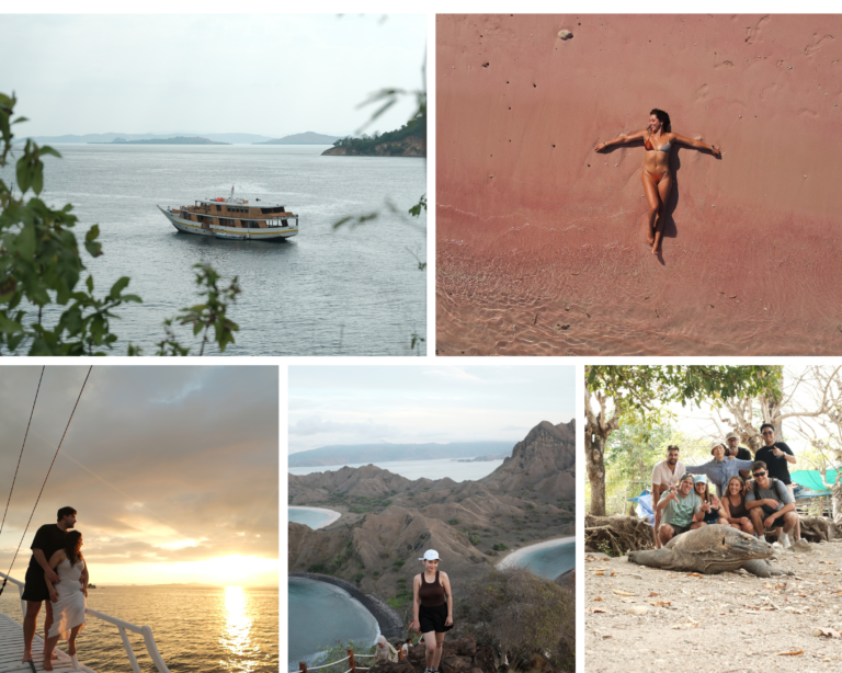 Komodo Island, Komodo National Park, Komodo Tour, Komodo Island Liveboard, Labuan Bajo Phinisi