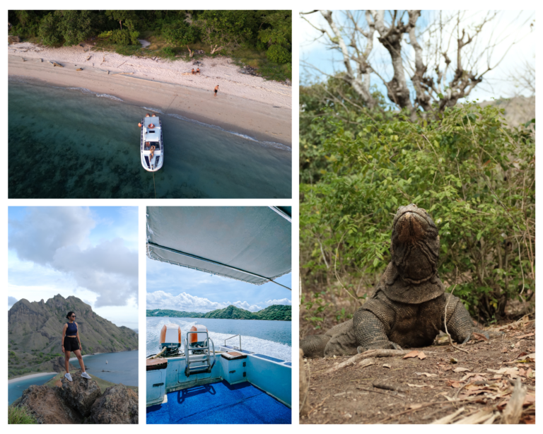 Padar Island, One Day Tour Komodo Island, Komodo Island Trip, Komodo Island, Komodo National Park, Komodo Tour, Komodo Island Liveboard