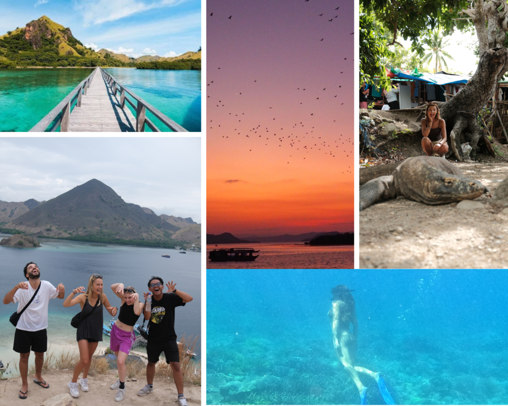 Half Days Sunset Tour Labuan Bajo, Komodo Island, Komodo National Park, Komodo Tour, Komodo Island Liveboard