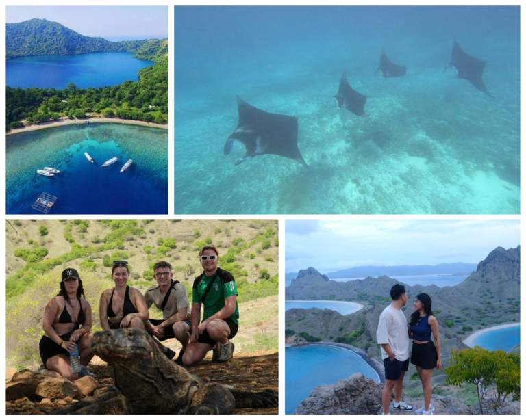Komodo Island, Komodo National Park, Komodo Tour, Komodo Island Liveboard, Open trip labuan bajo, open trip komodo, komodo trip from labuan bajo to lombok, satonda island, manta point