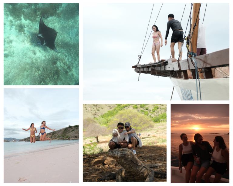 Komodo Island, Komodo National Park, Komodo Tour, Komodo Island Liveboard