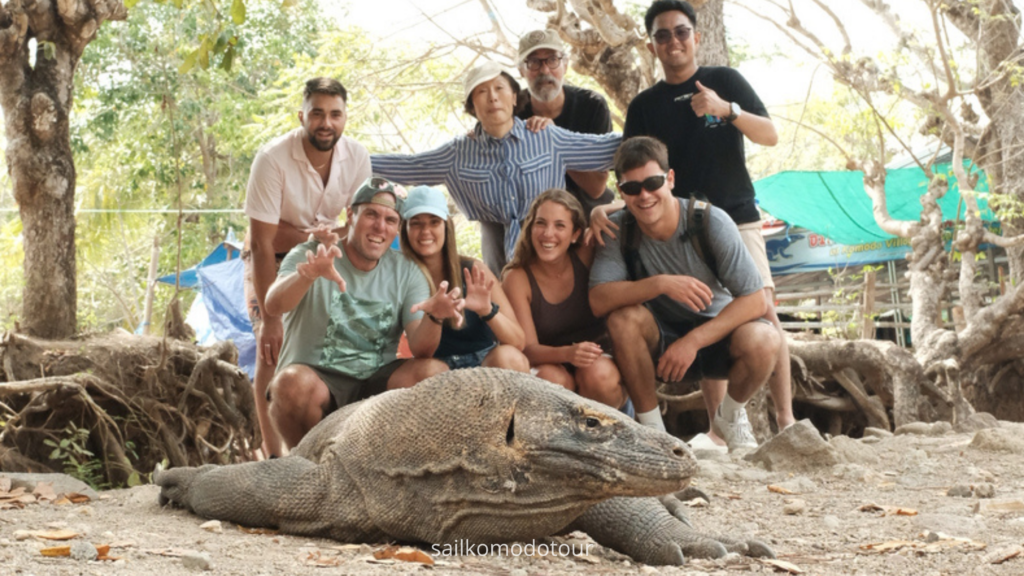 Komodo Dragon, Rinca Island, Komodo Island, Komodo National Park, Komodo Tour, Komodo Island Liveboard