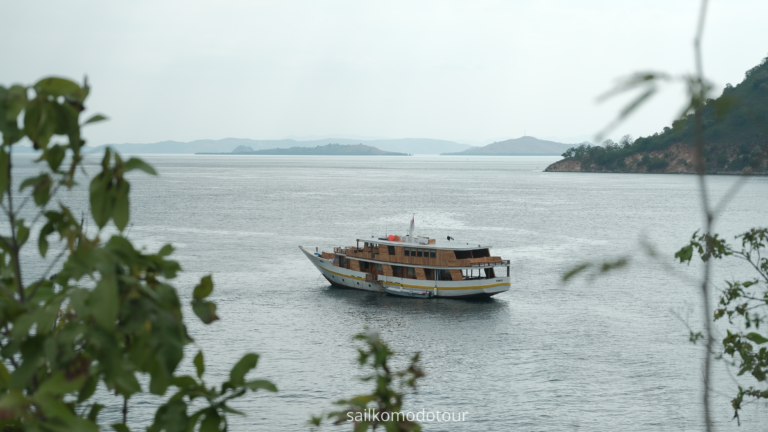 Komodo Island, Komodo National Park, Komodo Tour, Komodo Island Liveboard