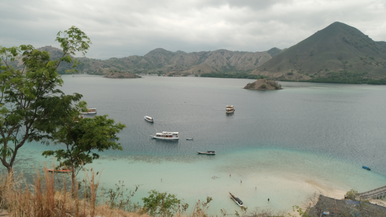 Sail Komodo Tour, Komodo Dragon, Rinca Island, Komodo Island, Komodo National Park, Komodo Tour, Komodo Island Liveboard, kelor island, padar island, pink beach, sebayur island, desan komodo, komodo Sailing Tour