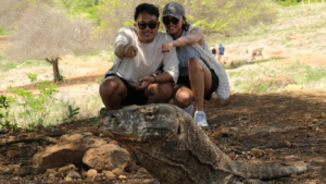 Sail Komodo Tour, Komodo Dragon, Rinca Island, Komodo Island, Komodo National Park, Komodo Tour, Komodo Island Liveboard, komodo trip, komodo tour