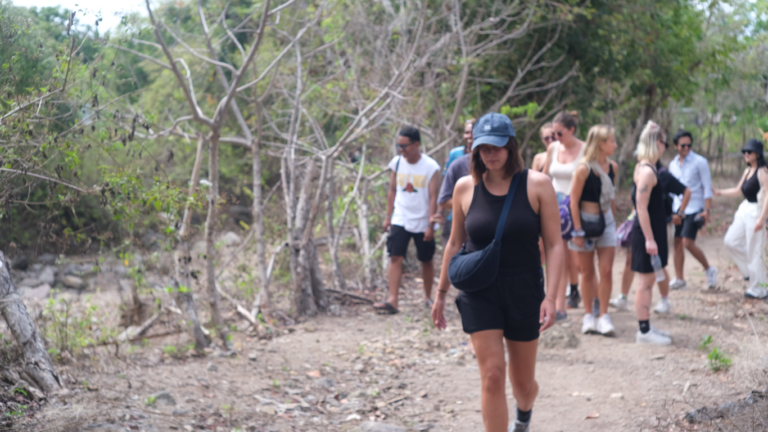 Sail Komodo Tour, Komodo Dragon, Rinca Island, Komodo Island, Komodo National Park, Komodo Tour, Komodo Island Liveboard, kelor island, padar island, pink beach, sebayur island, desan komodo, komodo Sailing Tour, manta poinrt, manta rays