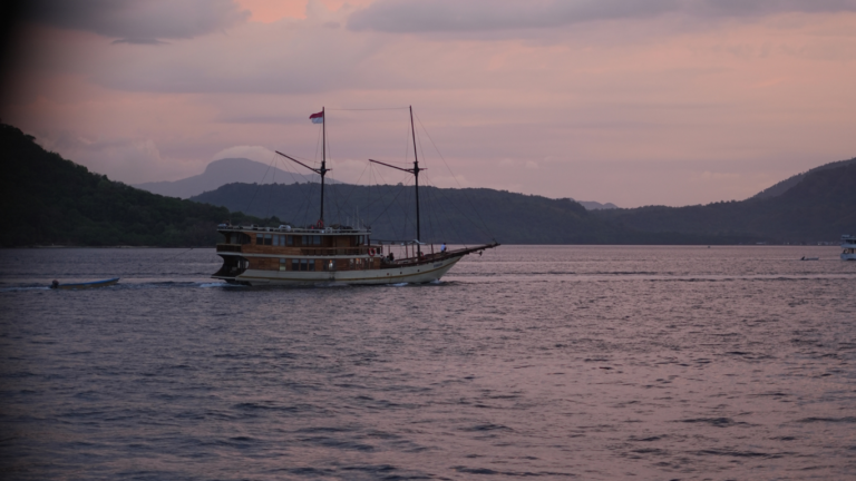Sail Komodo Tour, Komodo Dragon, Rinca Island, Komodo Island, Komodo National Park, Komodo Tour, Komodo Island Liveboard, kelor island, padar island, pink beach, sebayur island, desan komodo, komodo Sailing Tour, manta poinrt, manta rays