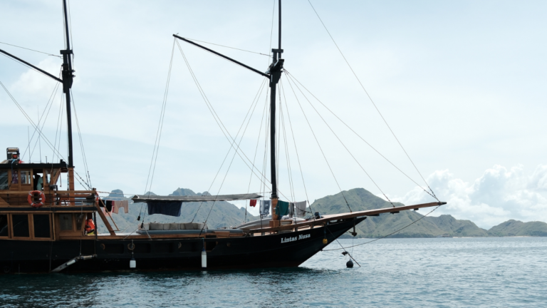 Sail Komodo Tour, Komodo Dragon, Rinca Island, Komodo Island, Komodo National Park, Komodo Tour, Komodo Island Liveboard, kelor island, padar island, pink beach, sebayur island, desan komodo, komodo Sailing Tour, manta poinrt, manta rays