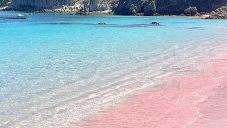 Pink Beach,Pantai Pink,Komodo Trip,Komod o Island,Open Trip Komodo Island,One Day Tour Labuan Bajo,komodo National Park,labuan bajo trip