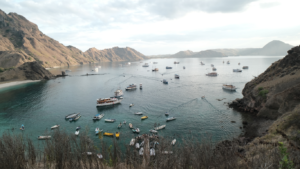 Sail Komodo Tour, Komodo Dragon, Rinca Island, Komodo Island, Komodo National Park, Komodo Tour, Komodo Island Liveboard, kelor island, padar island, pink beach, sebayur island, desan komodo, komodo Sailing Tour