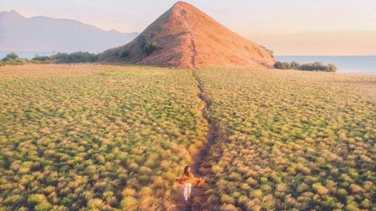 Kenawa Island,Pulau Kenawa,Komodo Tour,Sail Komodo Tour,Open Trip Komodo,Labuan Bajo,Sailing Komodo