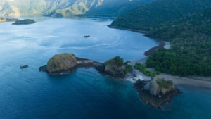 rinca island,pulau rinca,komodo dragon,komodo island,komdo natinal park,sail komodo tour,labuan bajo,komdo sailing tour,komodo island liveboard