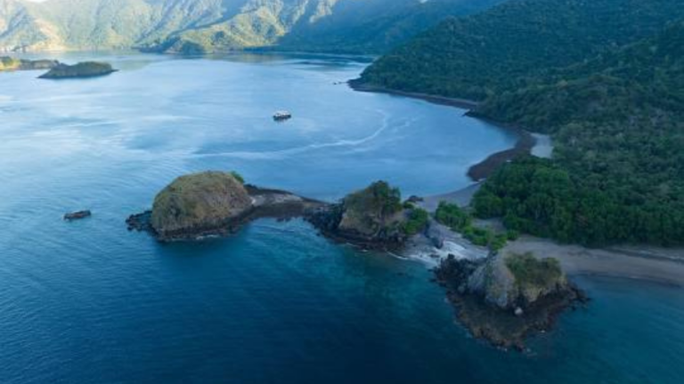 rinca island,pulau rinca,komodo dragon,komodo island,komdo natinal park,sail komodo tour,labuan bajo,komdo sailing tour,komodo island liveboard