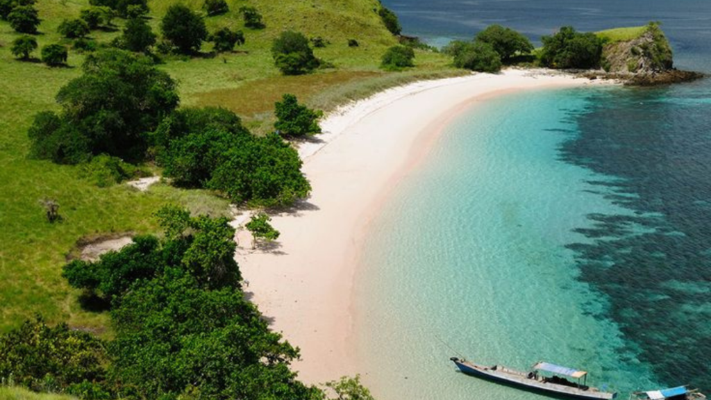 rinca island,pulau rinca,komodo dragon,komodo island,komdo natinal park,sail komodo tour,labuan bajo,komdo sailing tour,komodo island liveboard