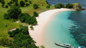 rinca island,pulau rinca,komodo dragon,komodo island,komdo natinal park,sail komodo tour,labuan bajo,komdo sailing tour,komodo island liveboard