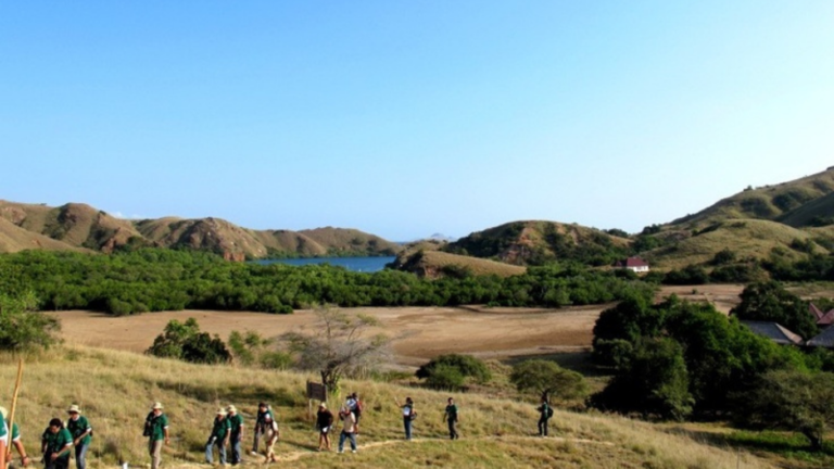 rinca island,pulau rinca,komodo dragon,komodo island,komdo natinal park,sail komodo tour,labuan bajo,komdo sailing tour,komodo island liveboard