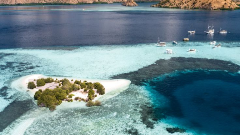Manta Point, Manta Rays, Giant Manra Ray, Labuan Bajo, Komodo National Park, Komodo trip, Komodo Island Tour
