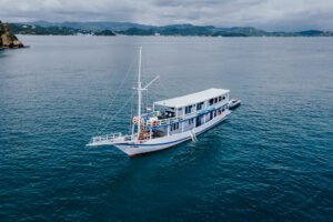 La Dyana Phinisi, La Dyana Liveboard, open trip labuan bajo, labuan bajo, open trip la dyana, komodo national park, komodo island, komodo dragon, pink beach, padar island, 2 days 1 night komodo island tour