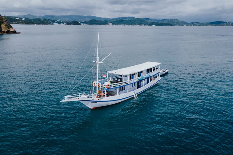 La Dyana Phinisi, La Dyana Liveboard, open trip labuan bajo, labuan bajo, open trip la dyana, komodo national park, komodo island, komodo dragon, pink beach, padar island, 2 days 1 night komodo island tour