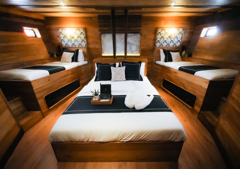 Angelica Liveaboard, open trip labuan bajo, labuan bajo, open trip navila liveaboard, komodo national park, komodo island, komodo dragon, pink beach, padar island, 3 days 2 nights labuan bajo open trip, open trip labuan bajo, open trip komodo island, komodo sailing tour