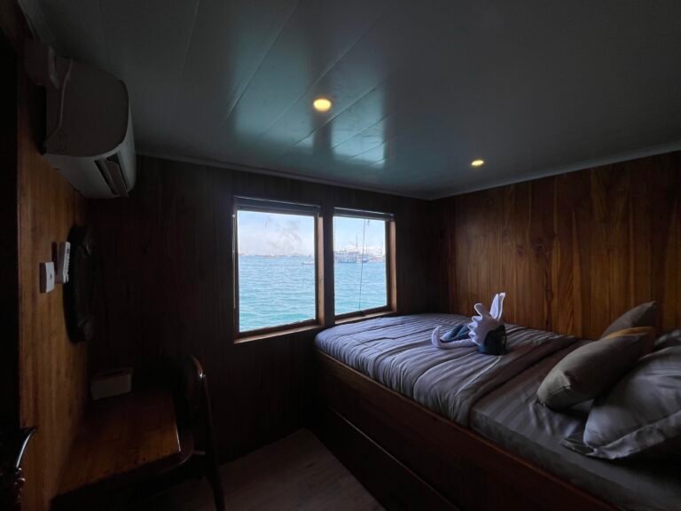 Woodwave Liveaboard, open trip labuan bajo, labuan bajo, open trip navila liveaboard, komodo national park, komodo island, komodo dragon, pink beach, padar island, 3 days 2 nights labuan bajo open trip, open trip labuan bajo, open trip komodo island, komodo sailing tour
