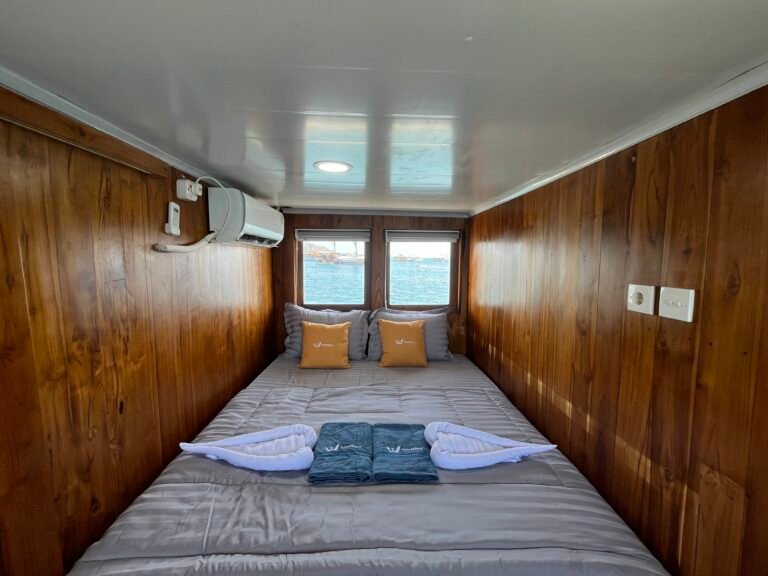 Woodwave Liveaboard, open trip labuan bajo, labuan bajo, open trip navila liveaboard, komodo national park, komodo island, komodo dragon, pink beach, padar island, 3 days 2 nights labuan bajo open trip, open trip labuan bajo, open trip komodo island, komodo sailing tour