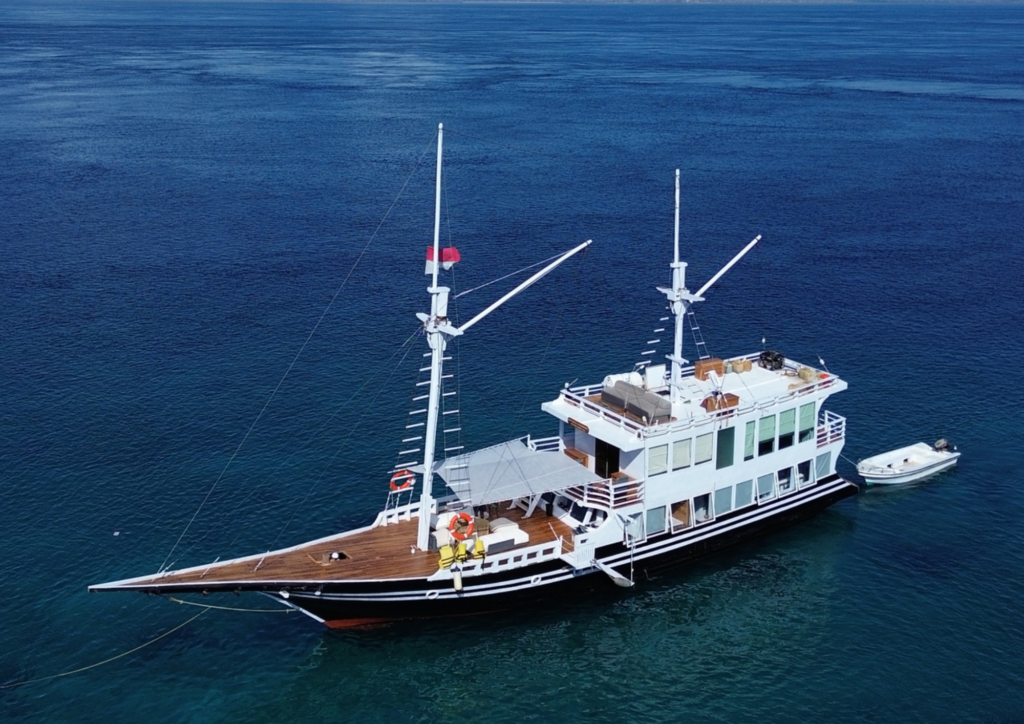 Derya Liveaboard, open trip labuan bajo, labuan bajo, open trip navila liveaboard, komodo national park, komodo island, komodo dragon, pink beach, padar island, 3 days 2 nights labuan bajo open trip, open trip labuan bajo, open trip komodo island, komodo sailing tour