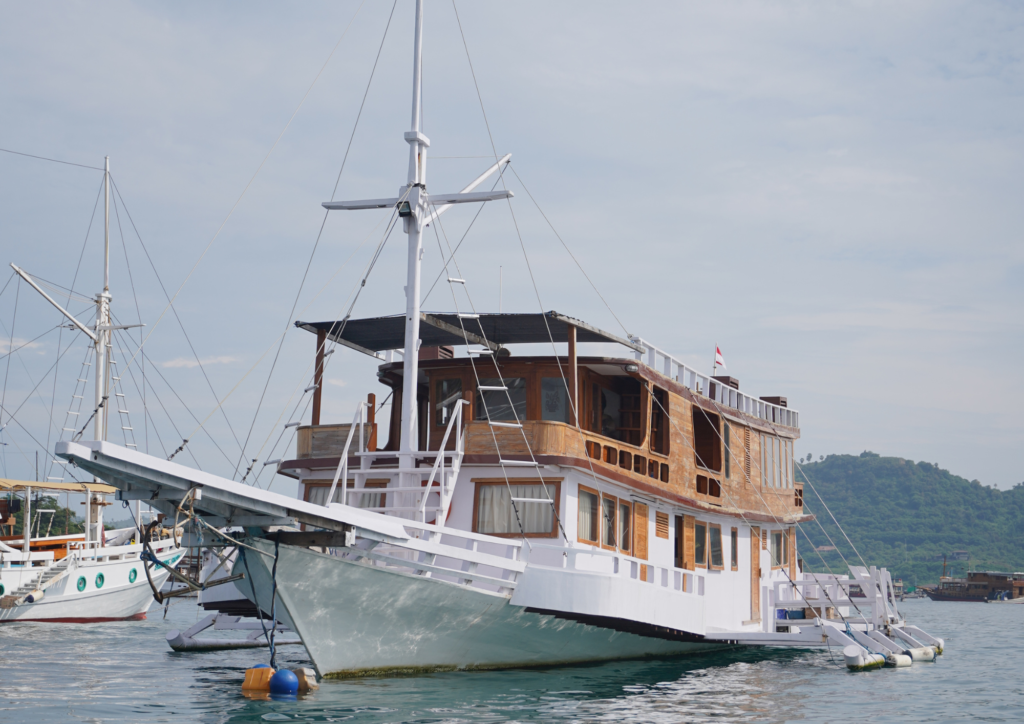 Fortuna Liveaboard, open trip labuan bajo, labuan bajo, open trip navila liveaboard, komodo national park, komodo island, komodo dragon, pink beach, padar island, 3 days 2 nights labuan bajo open trip, open trip labuan bajo, open trip komodo island, komodo sailing tour