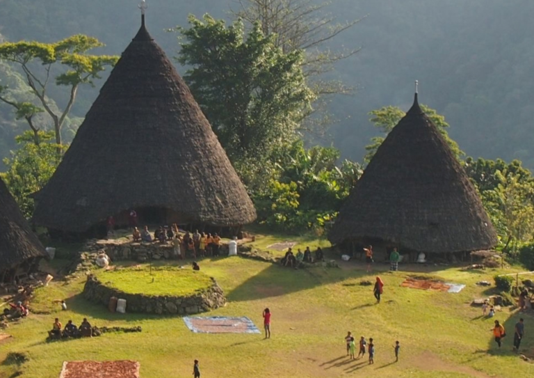 wae rebo island,pulau wae rebo,komodo dragon,komodo island,komdo natinal park,sail komodo tour,labuan bajo,komdo sailing tour,komodo island liveboard