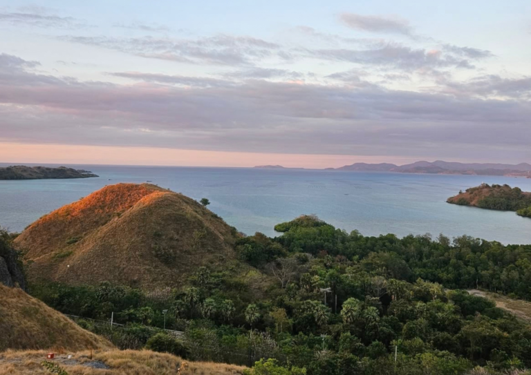 sylvia hill,komodo dragon,komodo island,komdo natinal park,sail komodo tour,labuan bajo,komdo sailing tour,komodo island liveboard