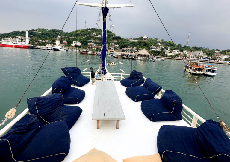 Natural 01 Liveaboard, open trip labuan bajo, labuan bajo, open trip navila liveaboard, komodo national park, komodo island, komodo dragon, pink beach, padar island, 3 days 2 nights labuan bajo open trip, open trip labuan bajo, open trip komodo island, komodo sailing tour