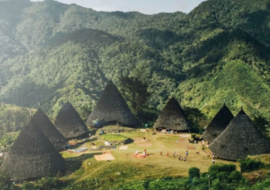 wae rebo island,pulau wae rebo,komodo dragon,komodo island,komdo natinal park,sail komodo tour,labuan bajo,komdo sailing tour,komodo island liveboard