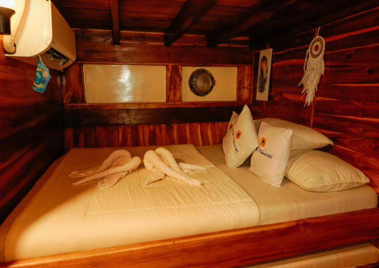 Natural 01 Liveaboard, open trip labuan bajo, labuan bajo, open trip navila liveaboard, komodo national park, komodo island, komodo dragon, pink beach, padar island, 3 days 2 nights labuan bajo open trip, open trip labuan bajo, open trip komodo island, komodo sailing tour
