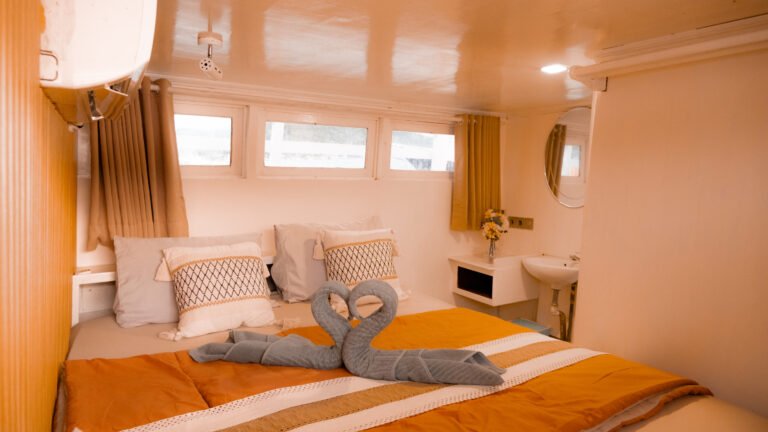 Giona Liveaboard, open trip labuan bajo, labuan bajo, open trip navila liveaboard, komodo national park, komodo island, komodo dragon, pink beach, padar island, 3 days 2 nights labuan bajo open trip, open trip labuan bajo, open trip komodo island, komodo sailing tour