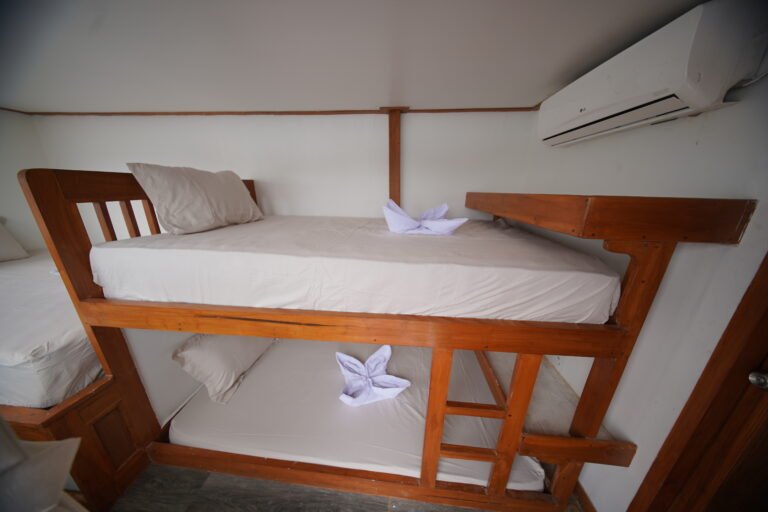 Fortuna Liveaboard, open trip labuan bajo, labuan bajo, open trip navila liveaboard, komodo national park, komodo island, komodo dragon, pink beach, padar island, 3 days 2 nights labuan bajo open trip, open trip labuan bajo, open trip komodo island, komodo sailing tour