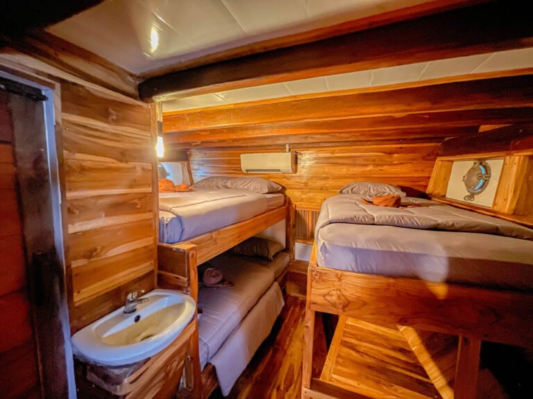 Natural 01 Liveaboard, open trip labuan bajo, labuan bajo, open trip navila liveaboard, komodo national park, komodo island, komodo dragon, pink beach, padar island, 3 days 2 nights labuan bajo open trip, open trip labuan bajo, open trip komodo island, komodo sailing tour