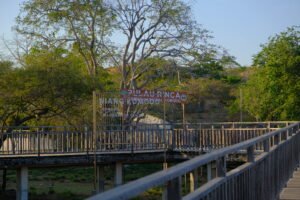 rinca island,pulau rinca,komodo dragon,komodo island,komdo natinal park,sail komodo tour,labuan bajo,komdo sailing tour,komodo island liveboard