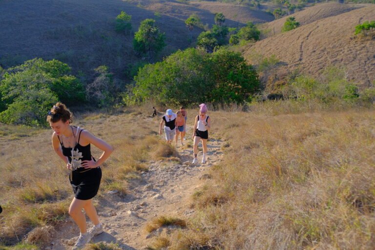 rinca island,pulau rinca,komodo dragon,komodo island,komdo natinal park,sail komodo tour,labuan bajo,komdo sailing tour,komodo island liveboard
