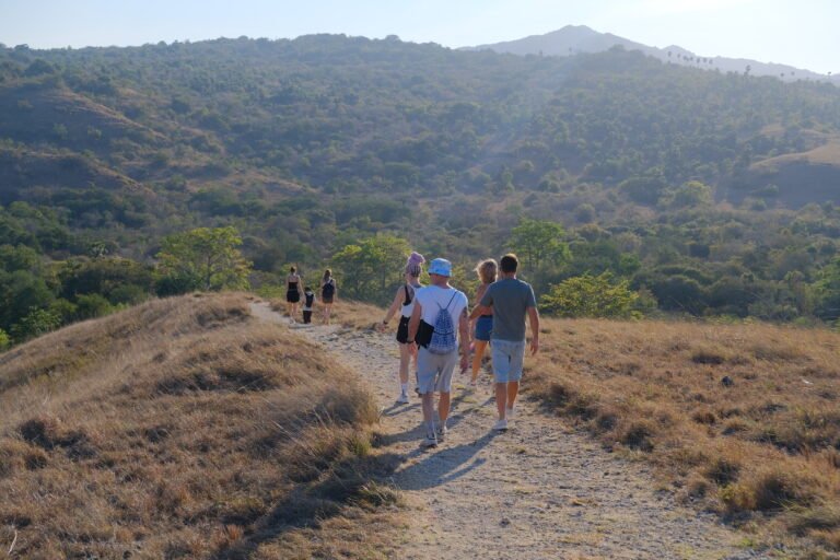 rinca island,pulau rinca,komodo dragon,komodo island,komdo natinal park,sail komodo tour,labuan bajo,komdo sailing tour,komodo island liveboard