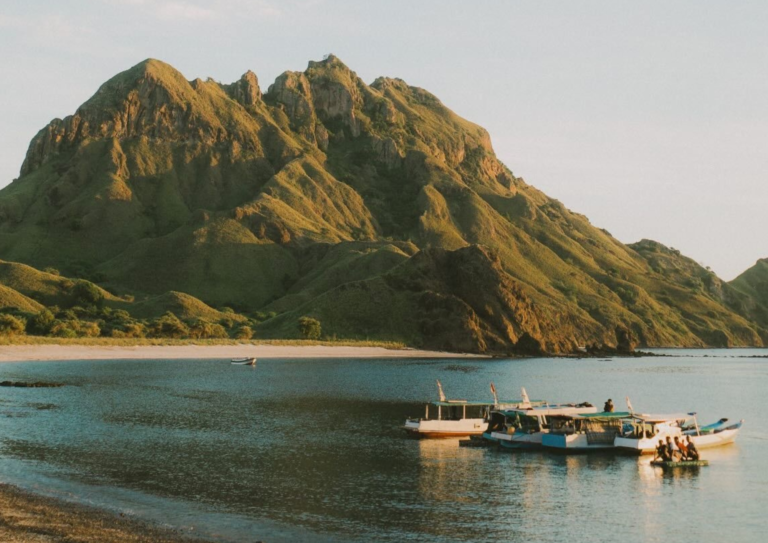 komodo sailing tour, komodo island, komodo national park, komodo dragon, open trip labuan bajo, sail komodo tour, labuan bajo, open trip komodo, pink beach, padar island