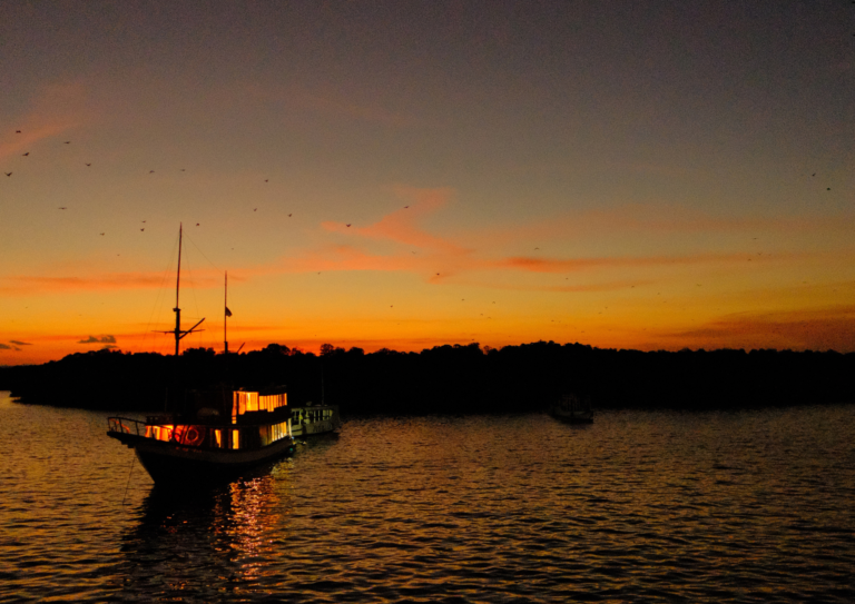 komodo sailing tour, komodo island, komodo national park, komodo dragon, open trip labuan bajo, sail komodo tour, labuan bajo, open trip komodo, pink beach, padar island, rinca island