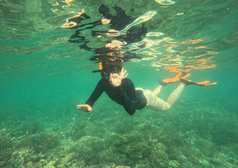 Lombok to Labuan Bajo trip, 4 days 3 nights komodo trip from lombok,Komodo Tour,Sail Komodo Tour,Open Trip Komodo,Labuan Bajo,Sailing Komodo, komodo island, komodo sailing tour