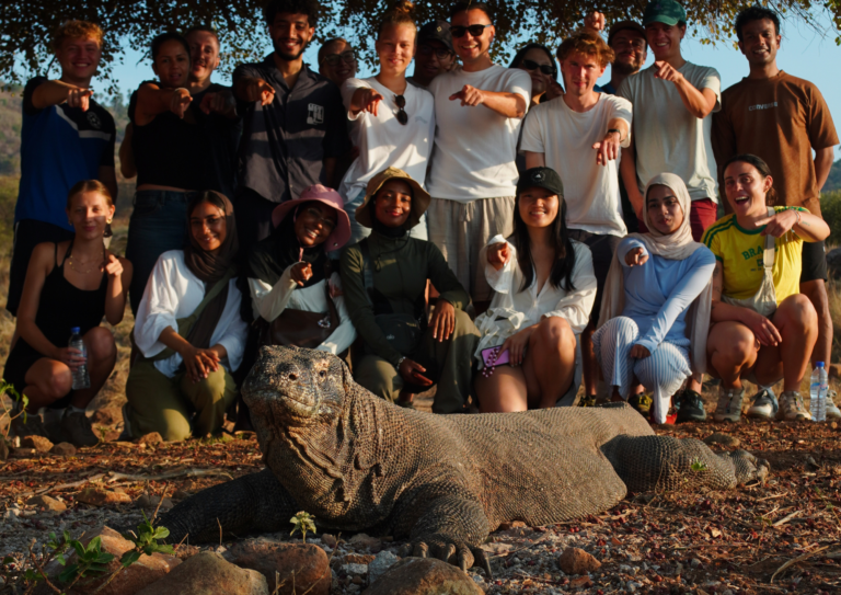 komodo sailing tour, komodo island, komodo national park, komodo dragon, open trip labuan bajo, sail komodo tour, labuan bajo, open trip komodo, pink beach, padar island, rinca island