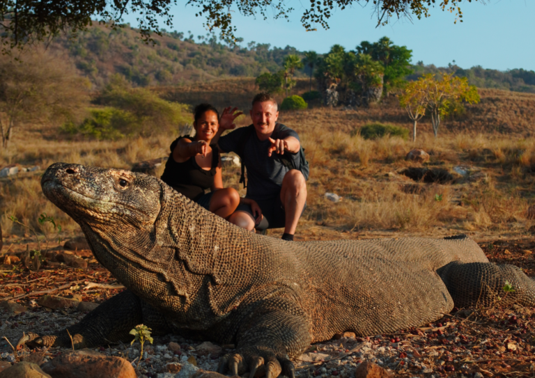 komodo sailing tour, komodo island, komodo national park, komodo dragon, open trip labuan bajo, sail komodo tour, labuan bajo, open trip komodo, pink beach, padar island, rinca island